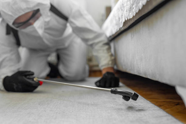 Professional Termite Control technician working in Silver Creek, NY