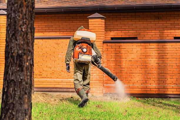 Trusted Ant Control service in Silver Creek, NY - Nex Pest Control